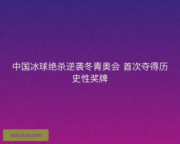 中国冰球绝杀逆袭冬青奥会 首次夺得历史性奖牌
