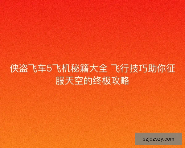 侠盗飞车5飞机秘籍大全 飞行技巧助你征服天空的终极攻略