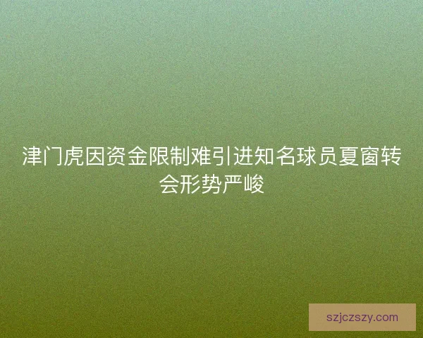 津门虎因资金限制难引进知名球员夏窗转会形势严峻