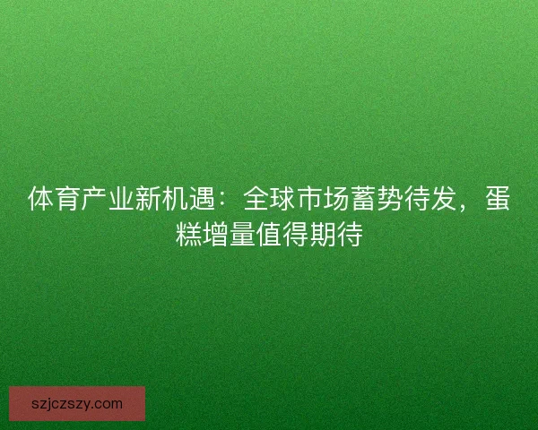 体育产业新机遇:全球市场蓄势待发,蛋糕增量值得期待 体育产业新机遇:全球市场蓄势待发,蛋糕增量值得期待